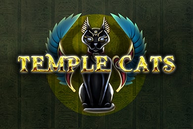 Templecats автомат МелБет Казино